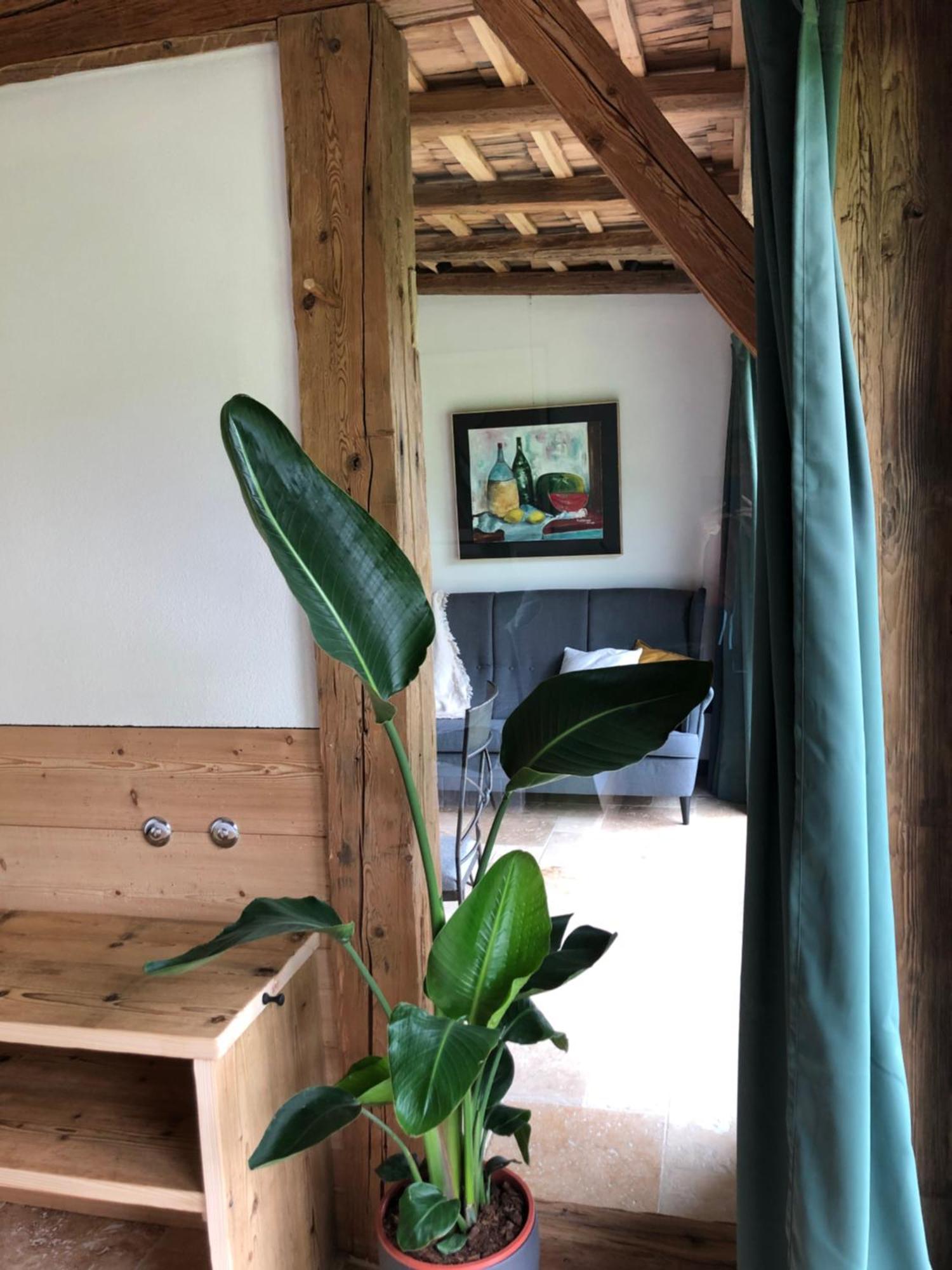 Apartment Stillleben Luxus für die Seele Abtenau Exterior foto