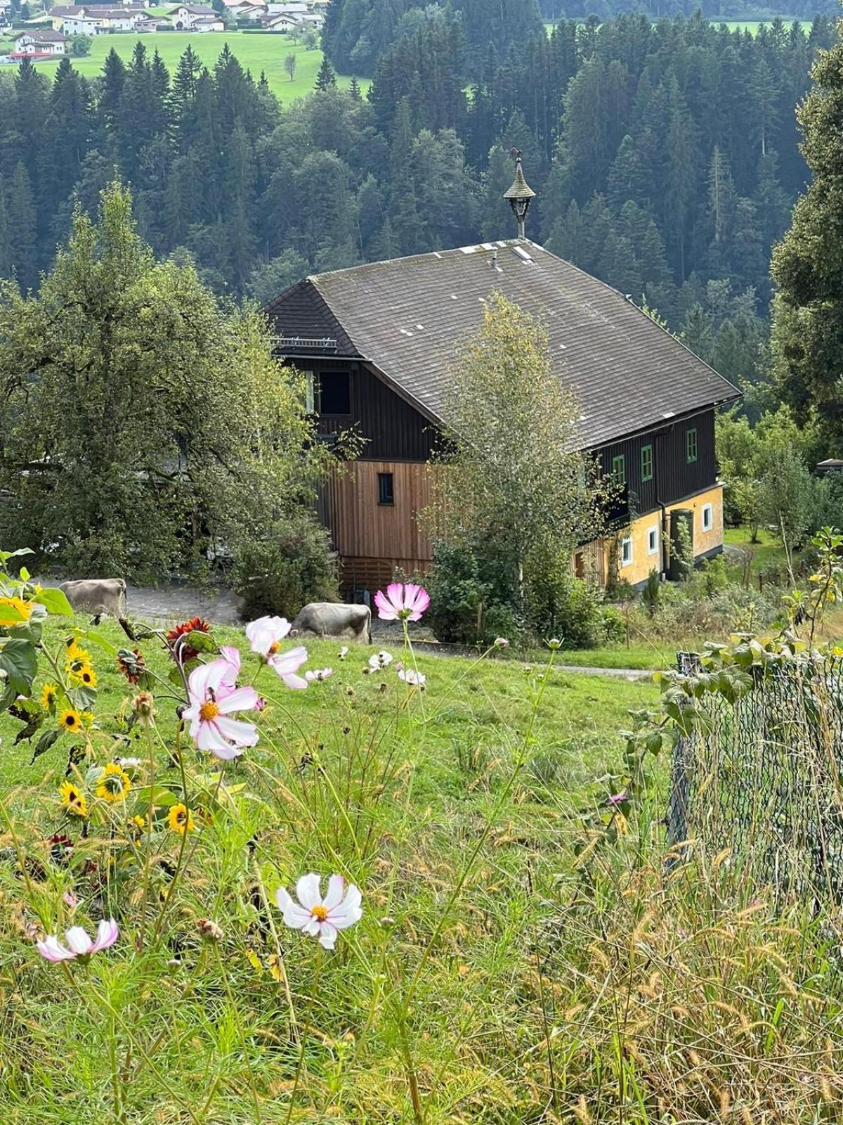 Apartment Stillleben Luxus für die Seele Abtenau Exterior foto