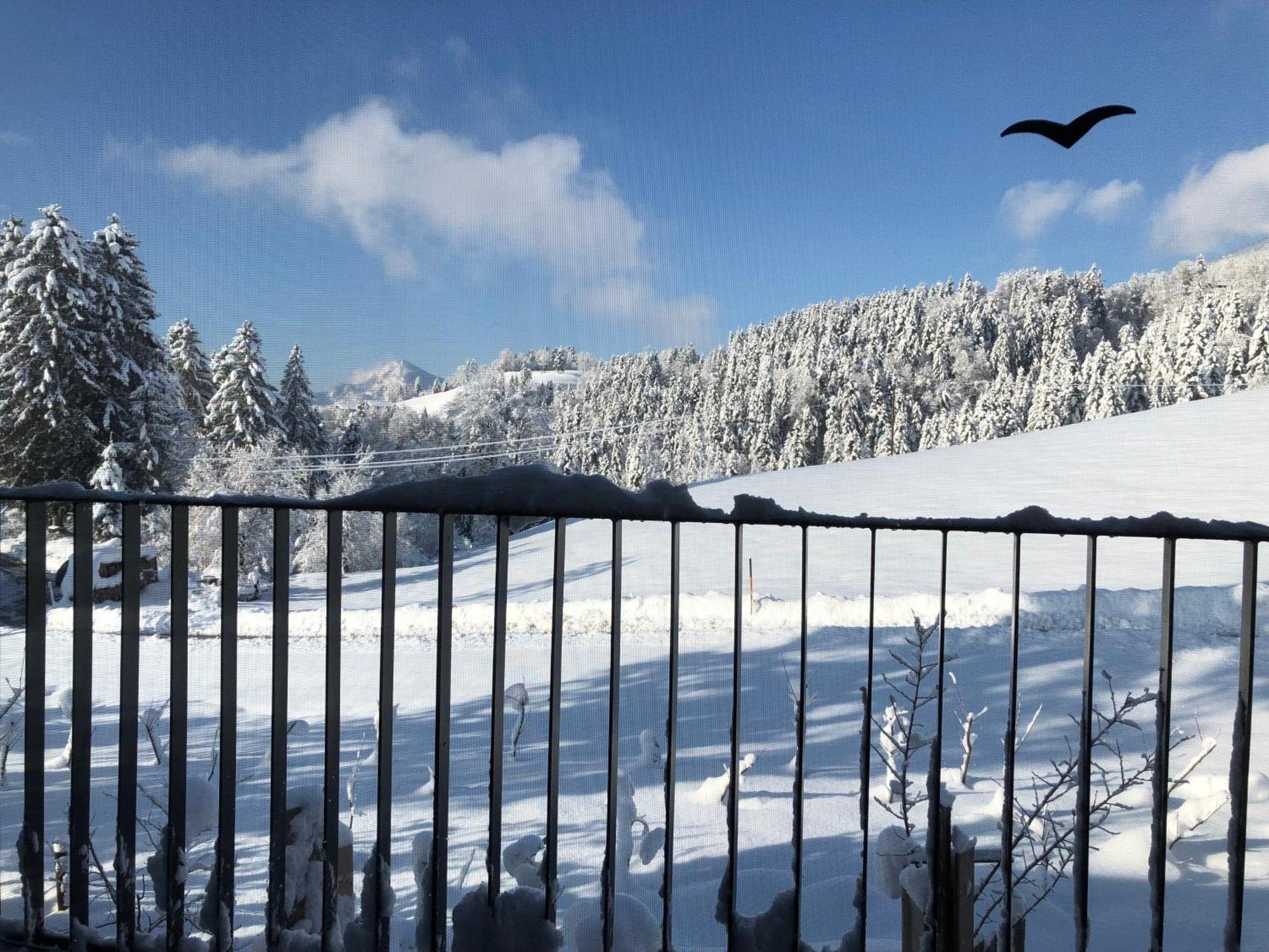Apartment Stillleben Luxus für die Seele Abtenau Exterior foto
